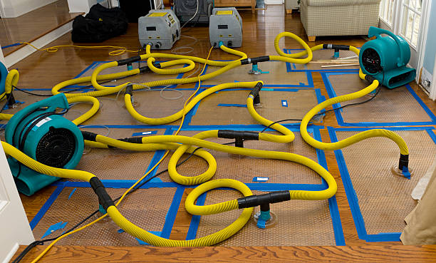 Professional Water Extraction technician working in Carroll, OH